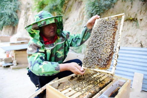 脱贫攻坚 两年多以来,这里的农村发展条件和环境面貌发生了巨大变化